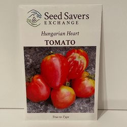 Hungarian Heart Tomato, pre 1901 Heirloom